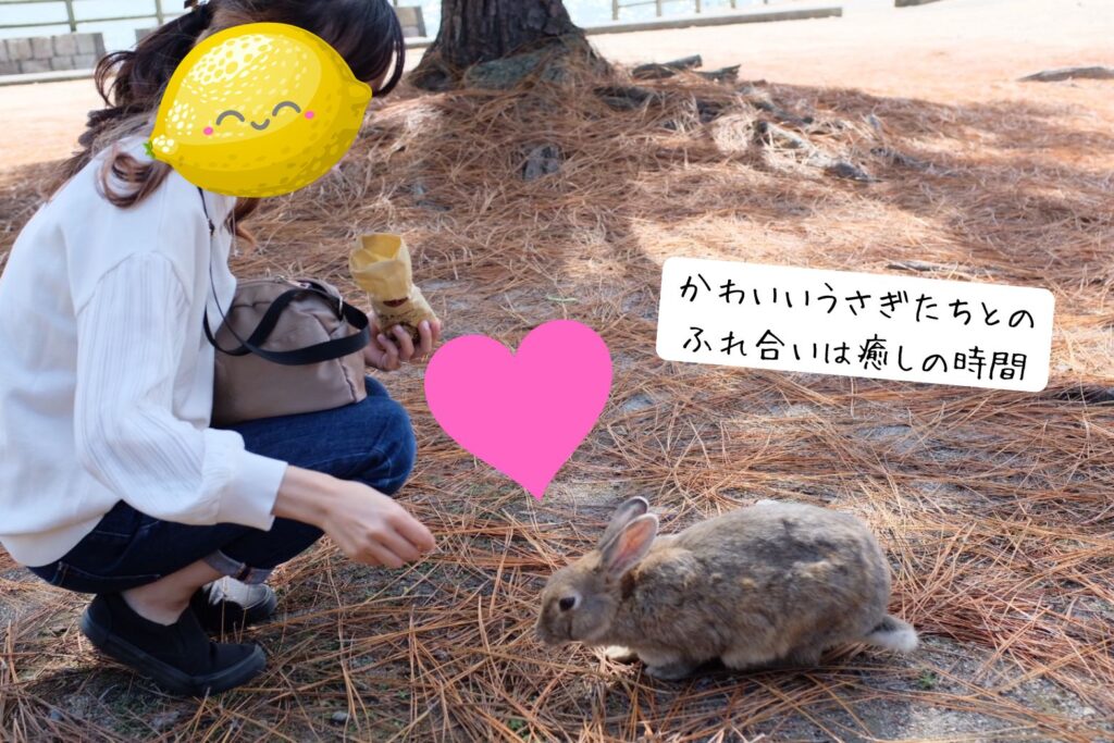 うさぎに、餌をあげている写真