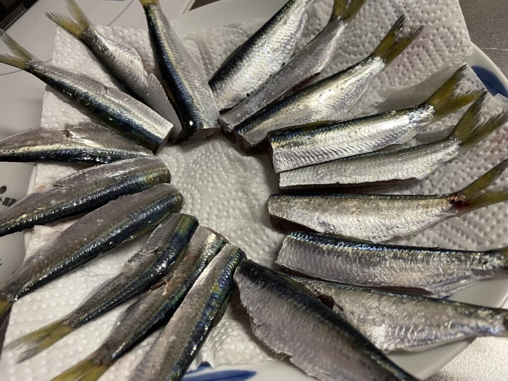捌いたママカリ