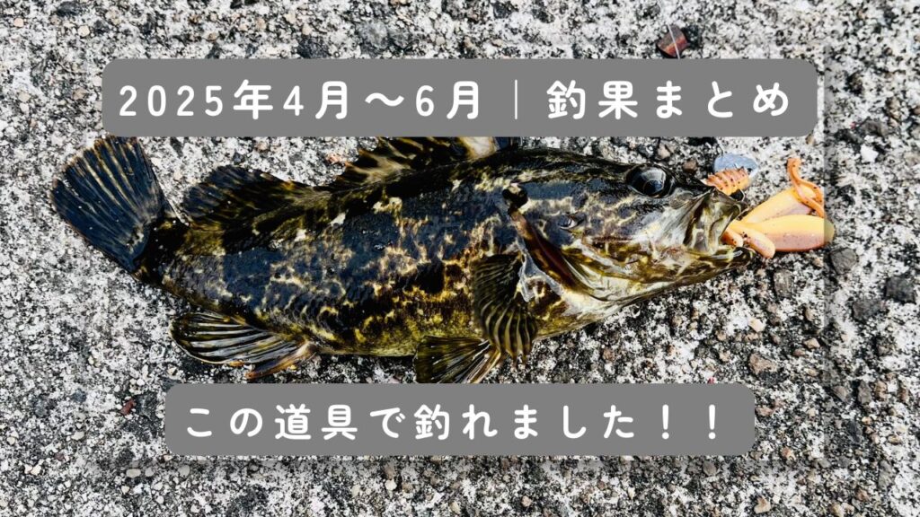 2025年第1四半期釣果報告記事のアイキャッチ画像