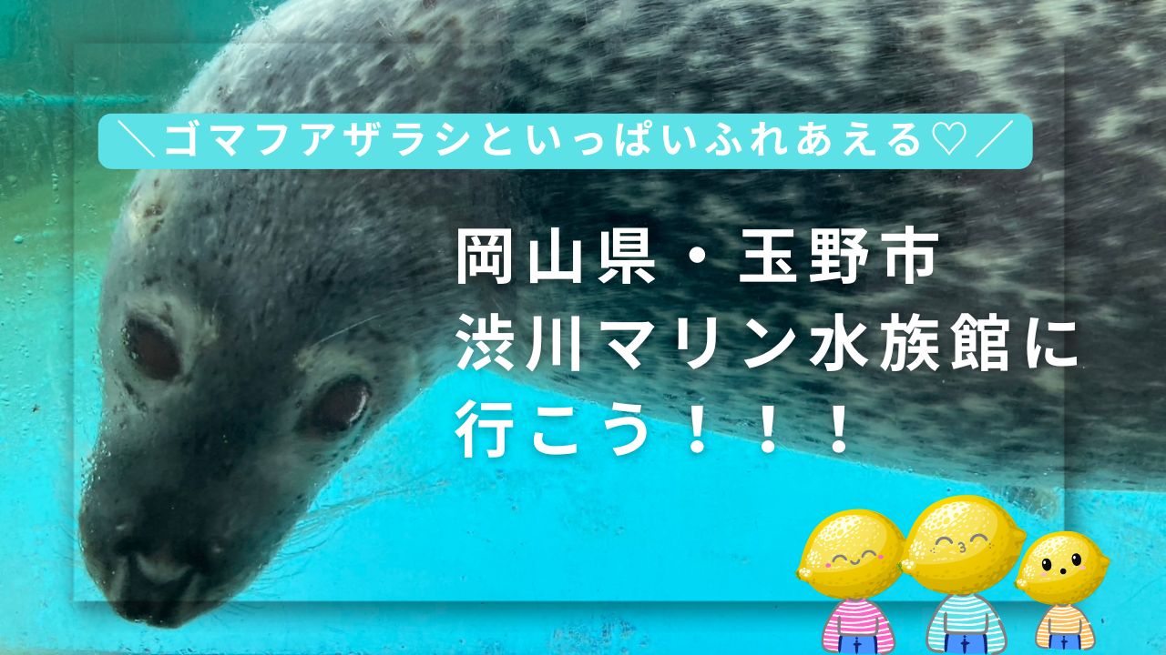 岡山県玉野市渋川マリン水族館のお出かけレポアイキャッチ画像