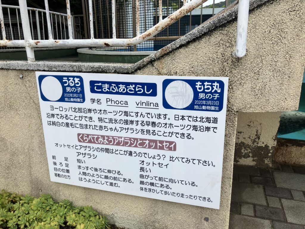 うるちと、もち丸の自己紹介のボード写真