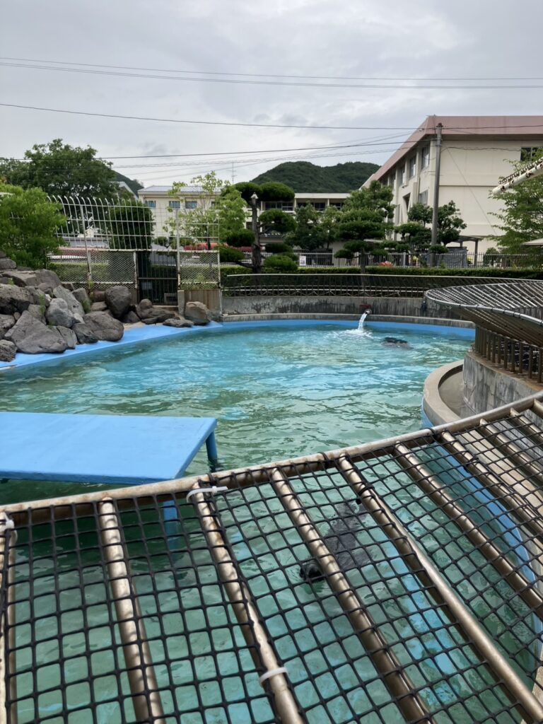オットセイのプールの様子
