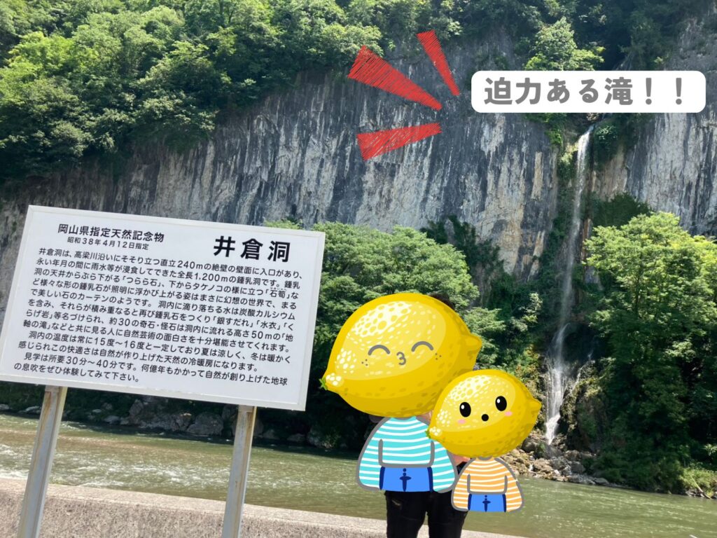 井倉洞には、迫力ある滝が流れています