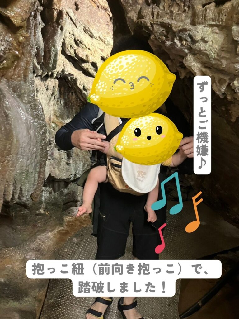井倉洞では、1歳のレモ太は、抱っこ紐で探検をしました!