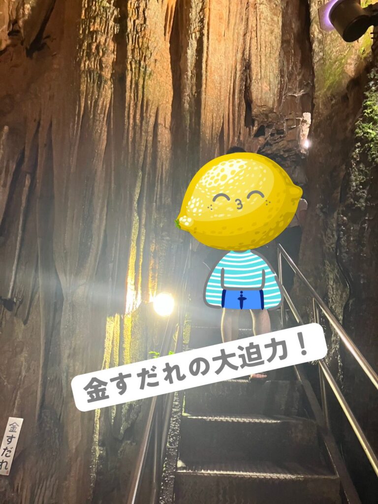 井倉洞の「金すだれ」、とても綺麗です。