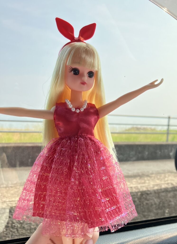 私が購入したリカちゃんのカスタマイズセット。全身を可愛くコーディネートをできました♡
