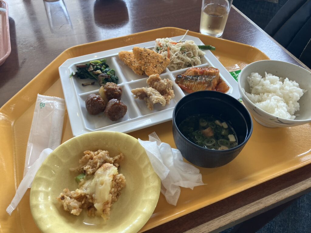 実際にお料理をお皿に盛り付けた写真。全て美味しくいただきました！