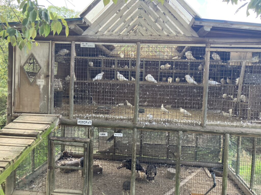 渋川動物公園の鳥小屋の写真
