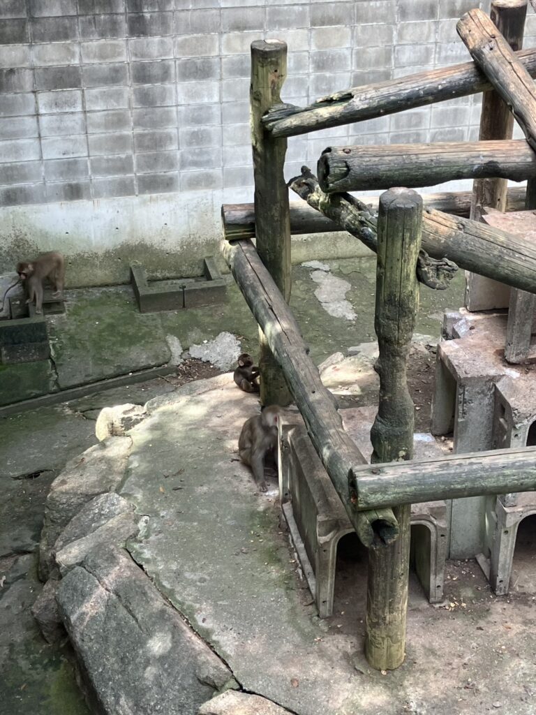 かわいい赤ちゃんが生まれていました！