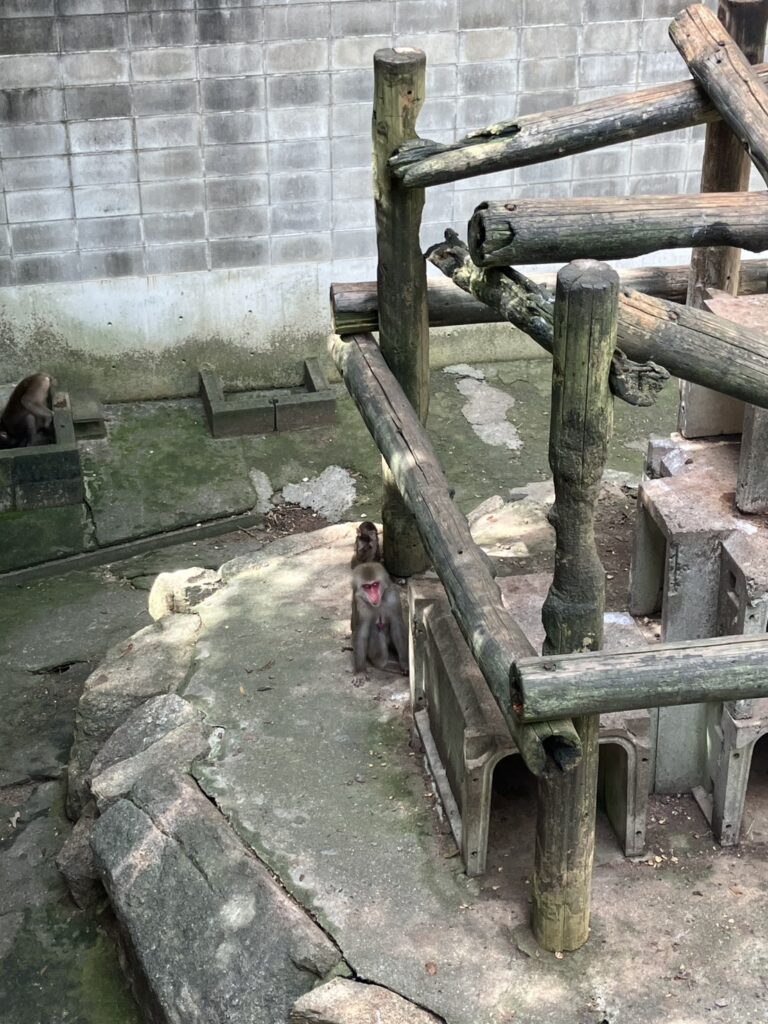 赤ちゃんの姿が、ちょこんと見えています