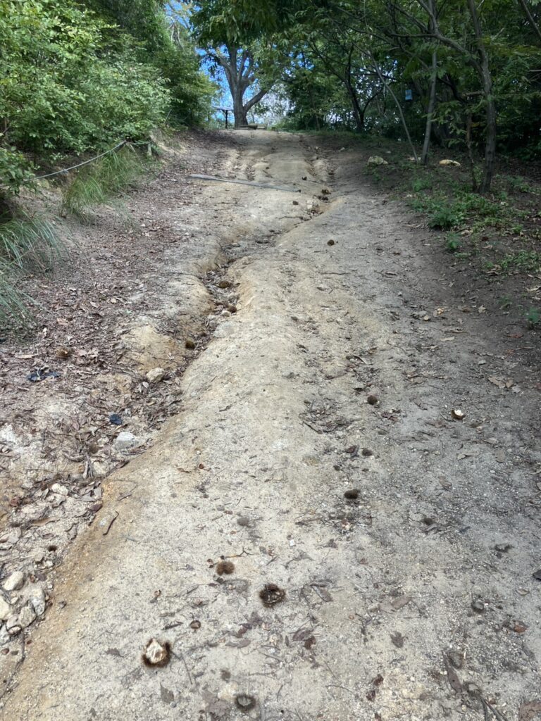 渋川動物公園内にある急坂の写真