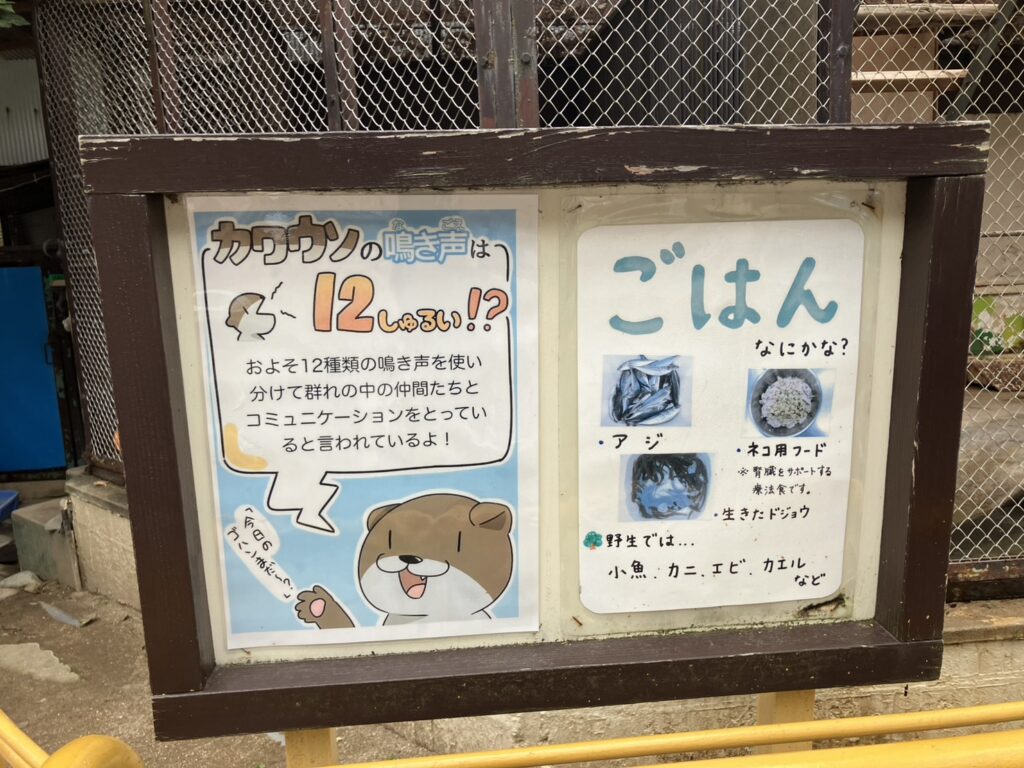池田動物園園内にある、飼育員さん手作りのPOP。