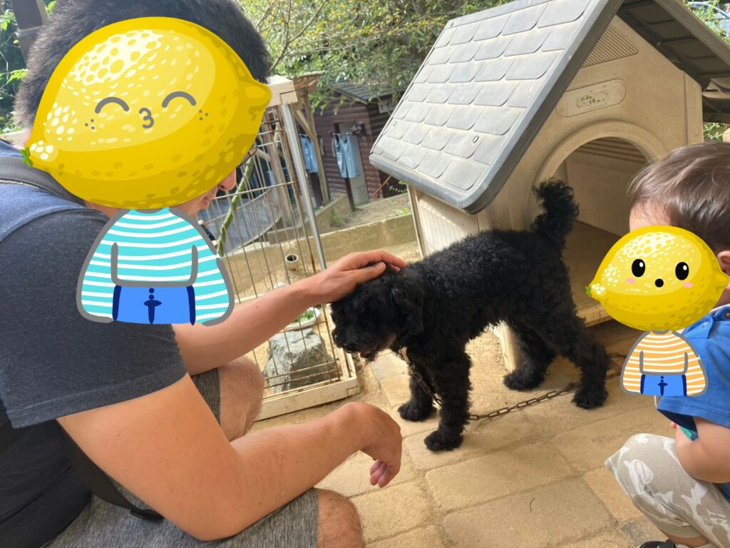 渋川動物公園にいるかわいいワンコたち