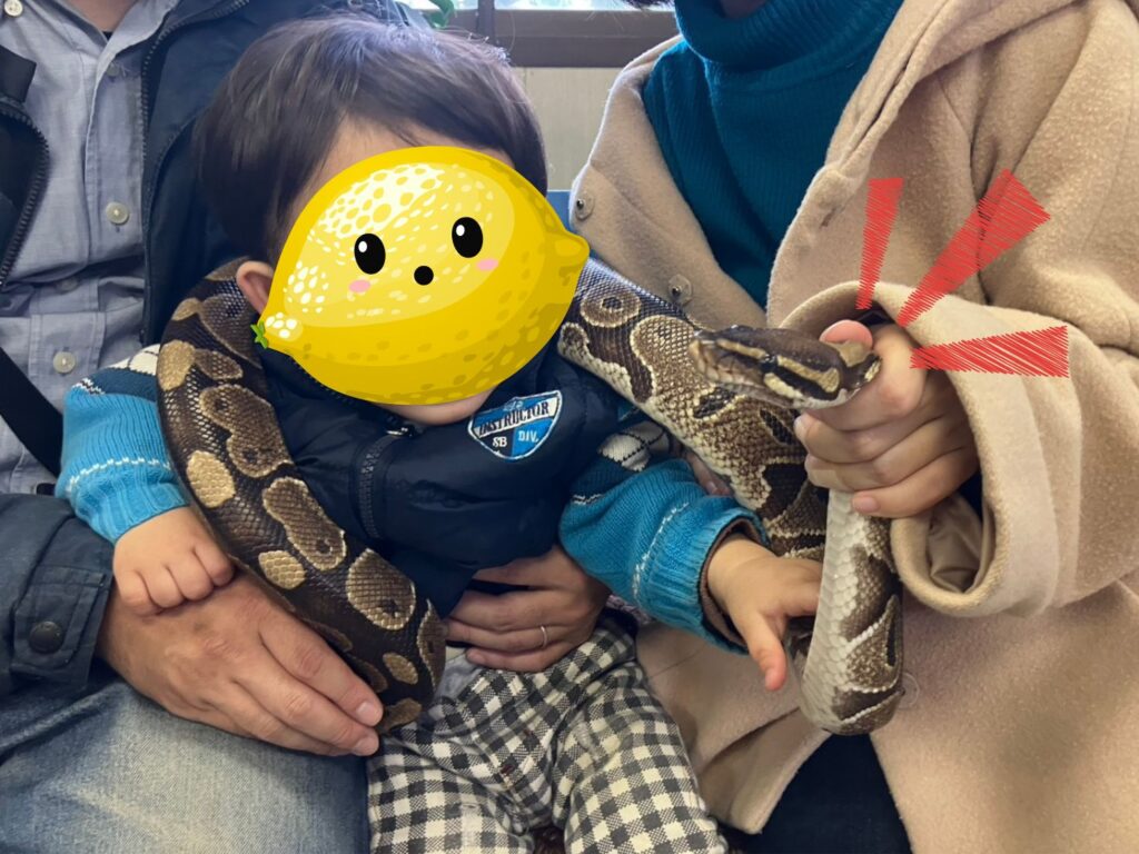 1歳半の男の子にも、ヘビさんを綺麗に巻き付けてもらいました。