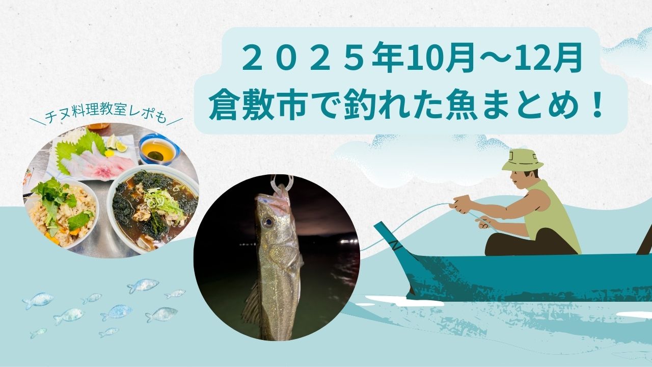 ２０２５年１０月～12月に、岡山県で釣れた魚をまとめます！