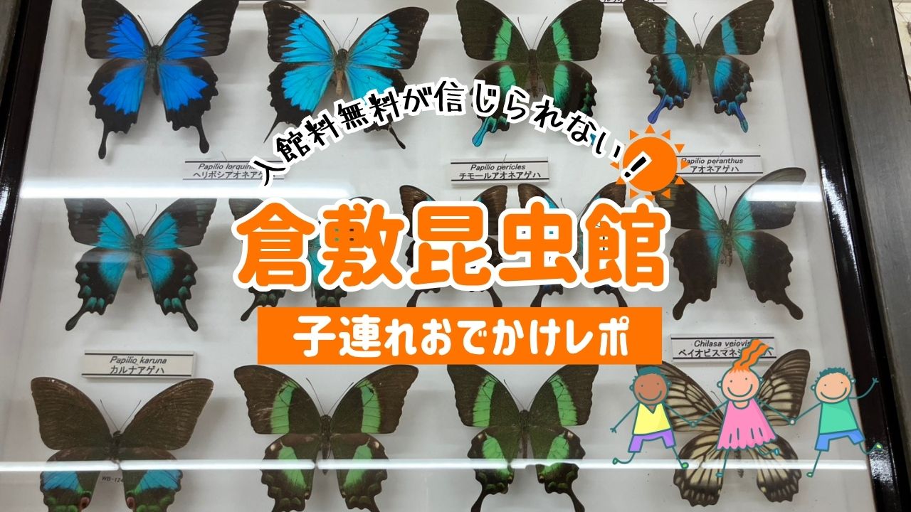 入館料無料が信じられない！倉敷昆虫館の子連れおでかけレポ