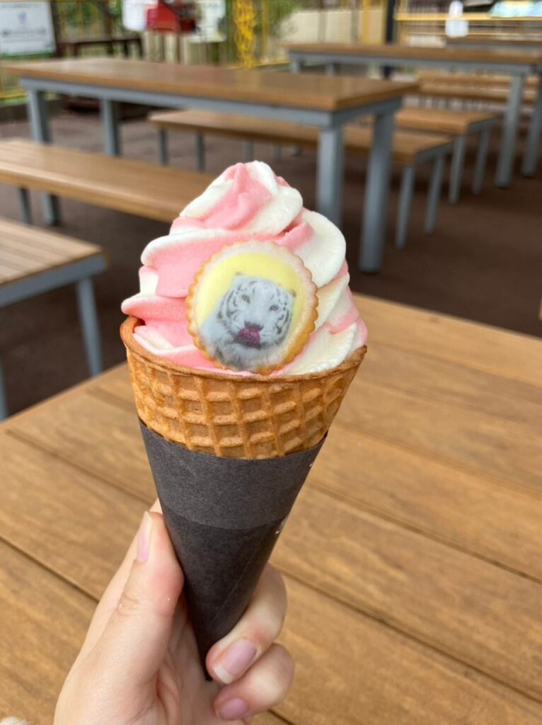 池田動物園のソフトクリーム♪とっても美味しかったです！